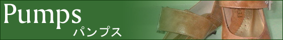 pvX